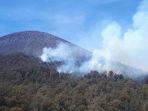 kebakaran-hutan-di-jalur-pendakian-gunung-semeru.jpg