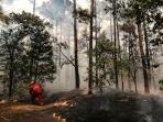 kebakaran-hutan-nih2_20151016_142538.jpg