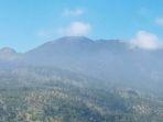 kebakaran-hutan-nihye2.jpg