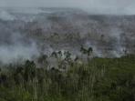 kebakaran-hutan_20160827_194722.jpg