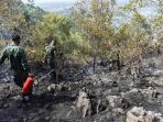kebakaran-hutan_20170725_221011.jpg