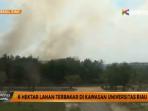 kebakaran-lahan-di-kawasan-universitas-riau_20160819_182819.jpg