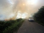 kebakaran-lahan-di-lampung_20150916_014918.jpg