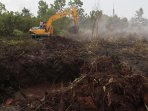 kebakaran-lahan-di-pekanbaru_20160811_201926.jpg