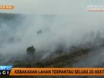 kebakaran-lahan-di-rokan-hilir_20170221_151712.jpg