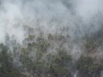 kebakaran-lahan-hutan-sumsel_20150831_150554.jpg