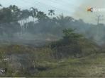 kebakaran-lahan-sawit-diduga-akibat-puntung-rokok_20160829_135448.jpg