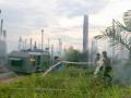 kebakaran-sawit-ptpn.jpg