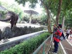 kebun-binatang-ragunan-sepi-pengunjung-saat-libur-panjang_20201030_194425.jpg