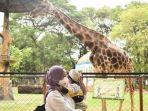 Rekomendasi Tempat Wisata Seru dan Edukatif Saat Liburan Imlek: Kebun Binatang Surabaya