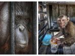 kebun-binatang-thailand_20180410_195254.jpg