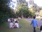 kebun-raya-bogor_20150726_014007.jpg