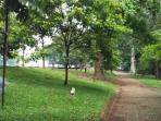 kebun-raya-bogor_20151121_172411.jpg