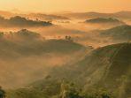 kebun-teh-cikuya.jpg