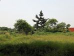 kediaman-aras-di-tangerang_20180507_181615.jpg