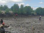 kegiatan-penanaman-bibit-mangrove-oleh-masyarakat-di-kepulauan-bangka-belitung.jpg