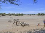 kekeringan-perparah-kelaparan-di-kenya_20221001_142522.jpg