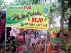 kelapa-gading_20150520_094936.jpg