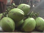 kelapa-kelapa-kelapa_20171203_185910.jpg