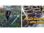 Aksi Ubah Limbah Jadi Cuan dengan Manfaatkan Urban Farming oleh Kelompok Tani Kebun Botol Malang
