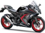 keluarga-baru-ninja-250_20160108_190223.jpg