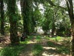 kemendes_20181019_114715.jpg