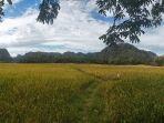 kemenpar-180719-4.jpg