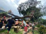 kemensos-pohon-tumbang.jpg