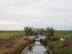 kementan-030201-1.jpg