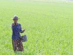 kementan-030420-1.jpg