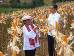 kementan-050319-1.jpg