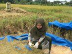 kementan-240220-1.jpg