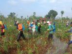 kementan-310120-4.jpg