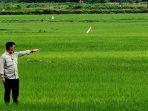 kementan-food-estate-1202.jpg