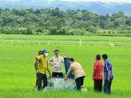 kementan-food-estate-2-1202.jpg