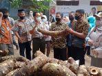 kementan-talas-beneng-2210.jpg