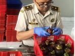 kementan_20181101_171910.jpg