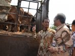 kementerian-pertanian-gelar-pasar-murah-bersama-bulog_20150923_094131.jpg