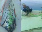 kemunculan-ikan-oarfish-gegerkan-masyarakat.jpg