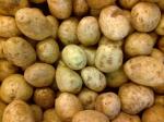 kentang-potato.jpg