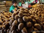 kentang-varietas-lokal_20161208_175508.jpg