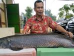 kepala-desa-mliriprowo-noto-diharjo-memperlihatkan-ikan-raksasa_20180626_053246.jpg