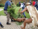 kepala-suku-di-afrika-selatan-tanam-ganja-di-kantor-presiden_20220114_082939.jpg