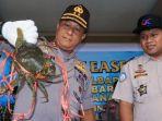 kepiting.jpg