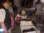 kepiting_20160419_132727.jpg