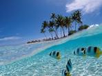kepulauan-seribu-pasir-putih-pantai-wisata-bahari_20141210_175928.jpg