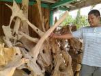 kerajinan-akar-kayu-jati_20150427_220856.jpg