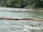 keramba-apung-milik-kelompok-nelayan-di-waduk.jpg