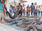 kerangka-korban-tsunami-aceh_2.jpg