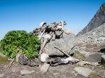 kerangka-manusia-di-danau-roopkund.jpg